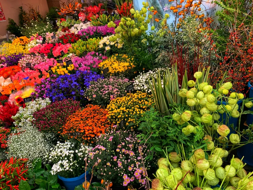 花屋の色とりどりの花たち