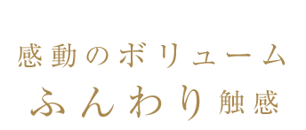 感動のボリュームふんわり触感
