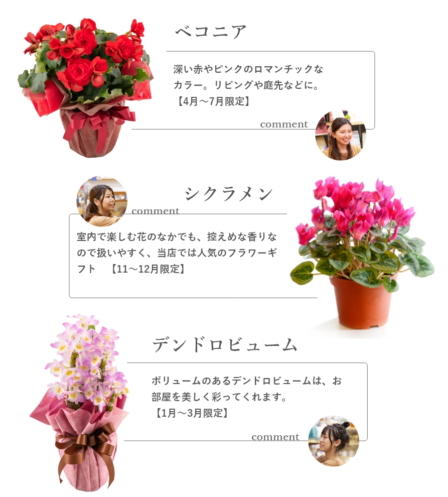 花鉢の紹介
