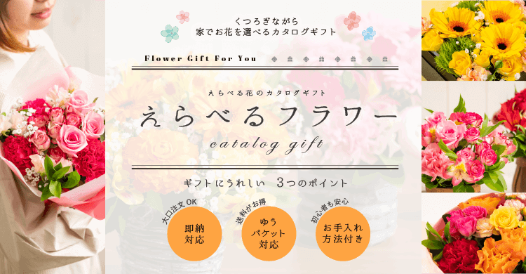カタログギフト | 内祝いお返しの専門店マイルームギフト