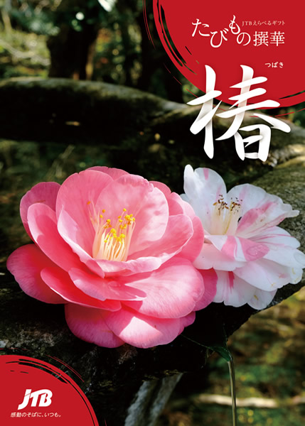 たびもの撰華【椿(つばき)】