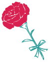 カーネーション