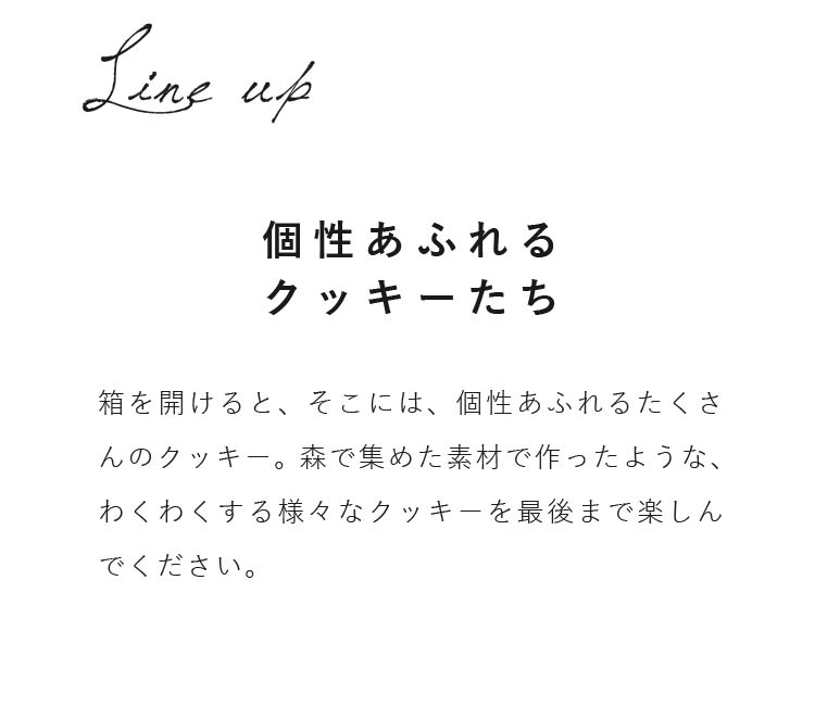 箱を開けると、そこには、個性あふれるたくさんのクッキー。森で集めた素材で作ったような、わくわくする様々なクッキーを最後まで楽しんでください。